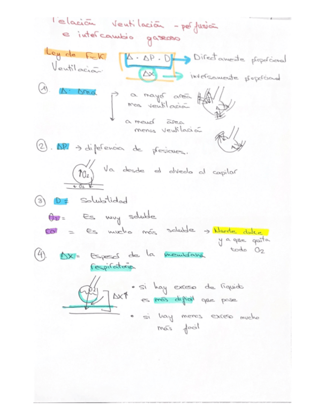 Miniatura del documento relacion-ventilacion-perfusion-tema-5.pdf