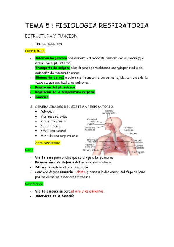 Miniatura del documento tema-5-fisiologia-respiratoria.pdf