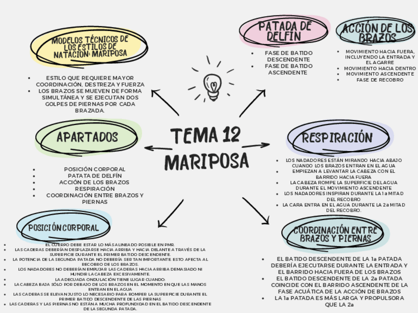 Miniatura del documento Mapa-conceptual-tema-12-mariposa.pdf