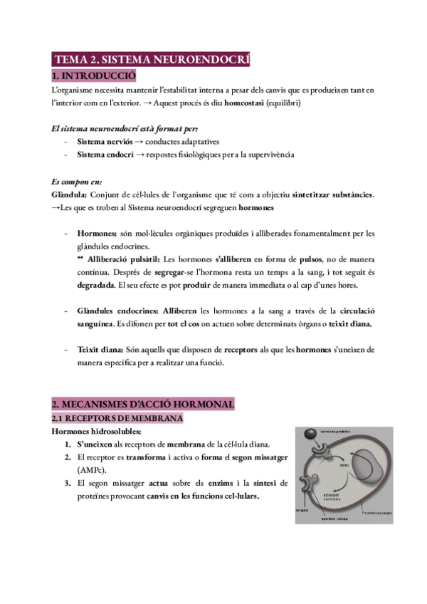 Miniatura del documento Tema- 2 - Fonamentos de psicobiología.pdf