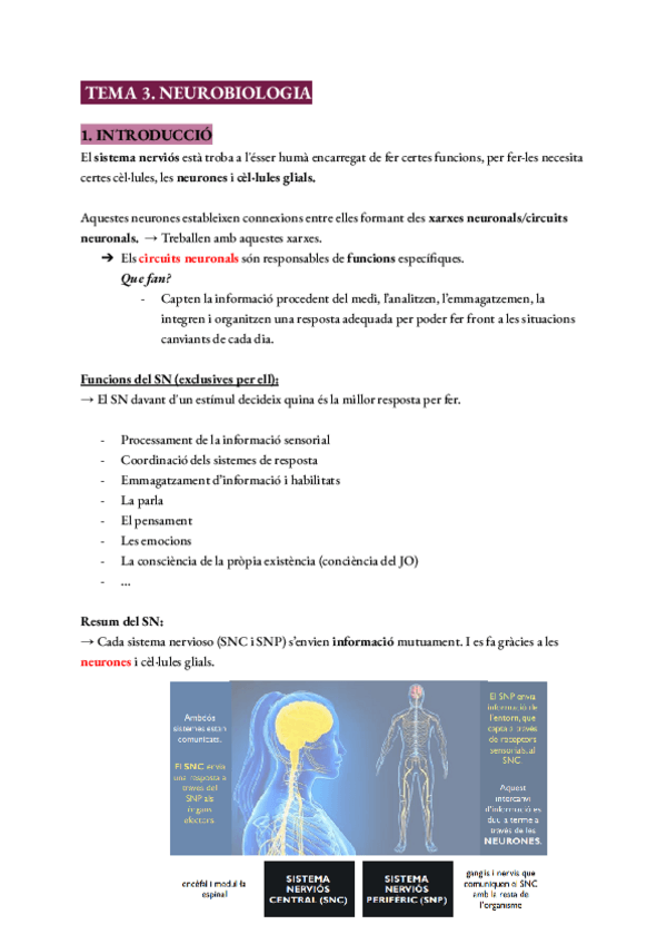 Miniatura del documento Tema 3 - Fonamentos de psicobiología.pdf