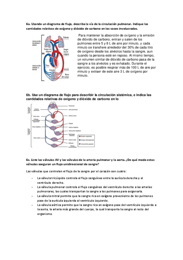 Miniatura del documento Ejercicio-tema-2.pdf
