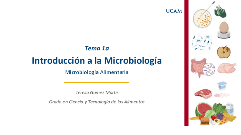 Miniatura del documento TEMA-1a.pdf