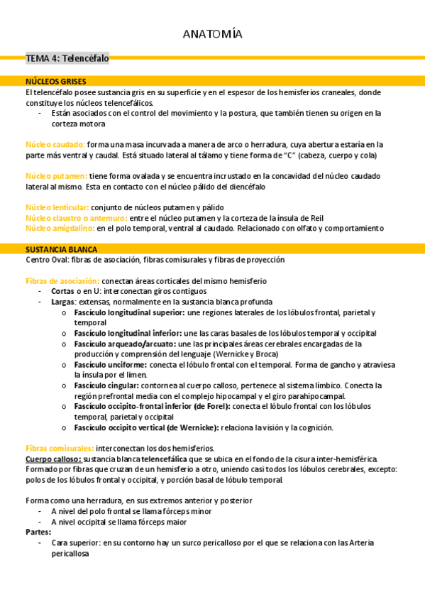 Miniatura del documento tema-4-telencefalo.pdf