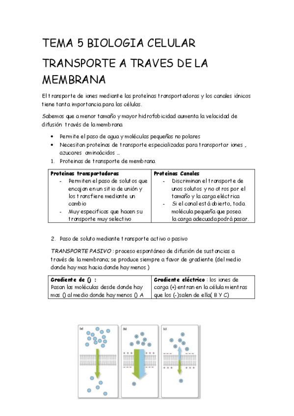 Miniatura del documento TEMA-5-BIOLOGIA-CELULAR.pdf