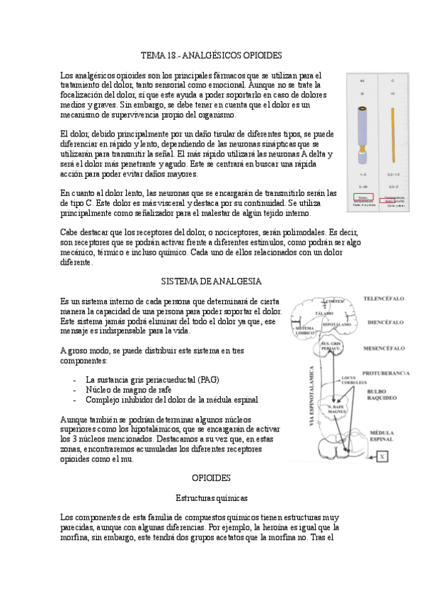 Miniatura del documento 18.-Opioides.pdf
