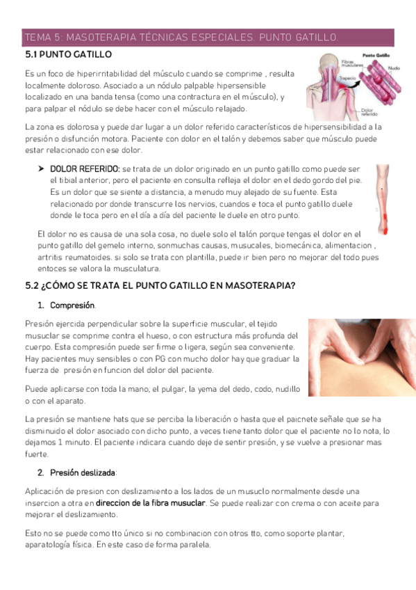 Miniatura del documento 5-Masoterapia-tecnicas-especial-PUNTO-GATILLO.pdf