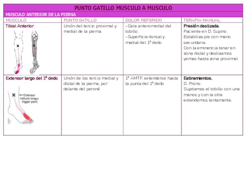 Miniatura del documento Tabla-punto-gatillo-musculo-a-musculo.pdf
