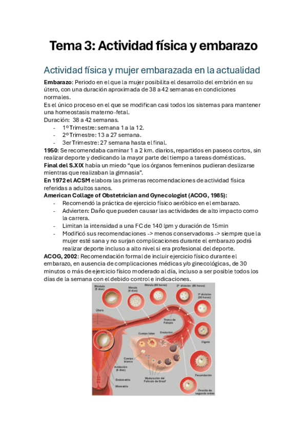 Miniatura del documento Tema-3-Embarazadas.pdf