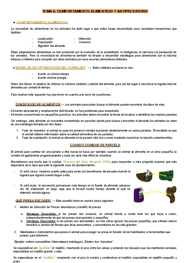 Miniatura del documento Etologia-Tema-6.docx.pdf