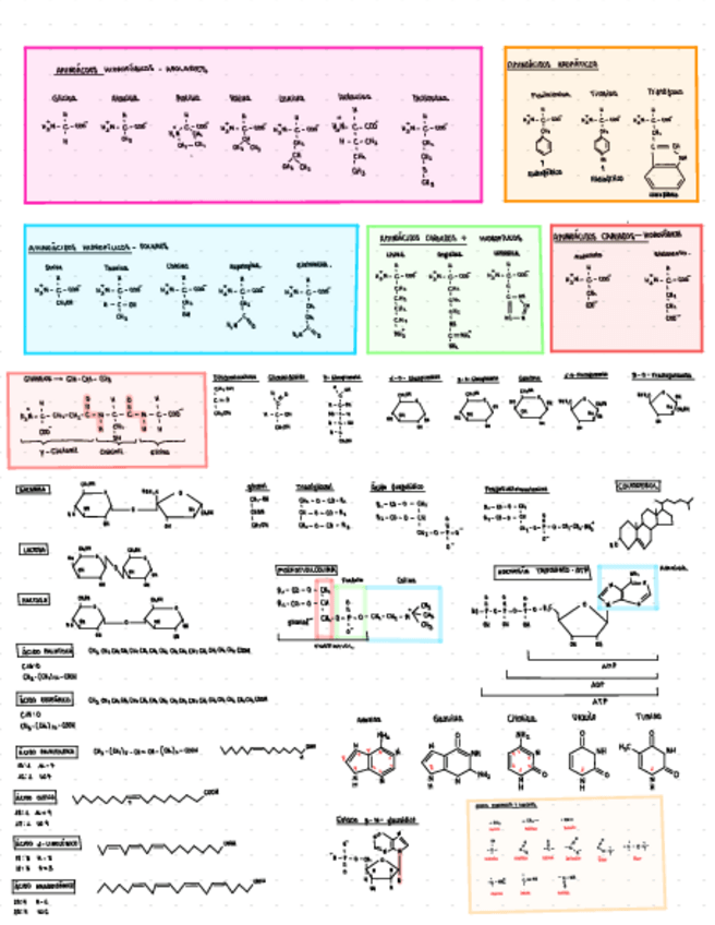 Miniatura del documento TODAS-LAS-FORMULAS-BIOQUIMICA.pdf