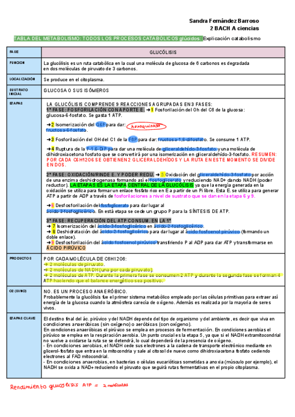 Miniatura del documento TABLA-DEL-METABOLISMO-TODOS-LOS-PROCESOS-CATABOLICOS-glucidos-1.pdf