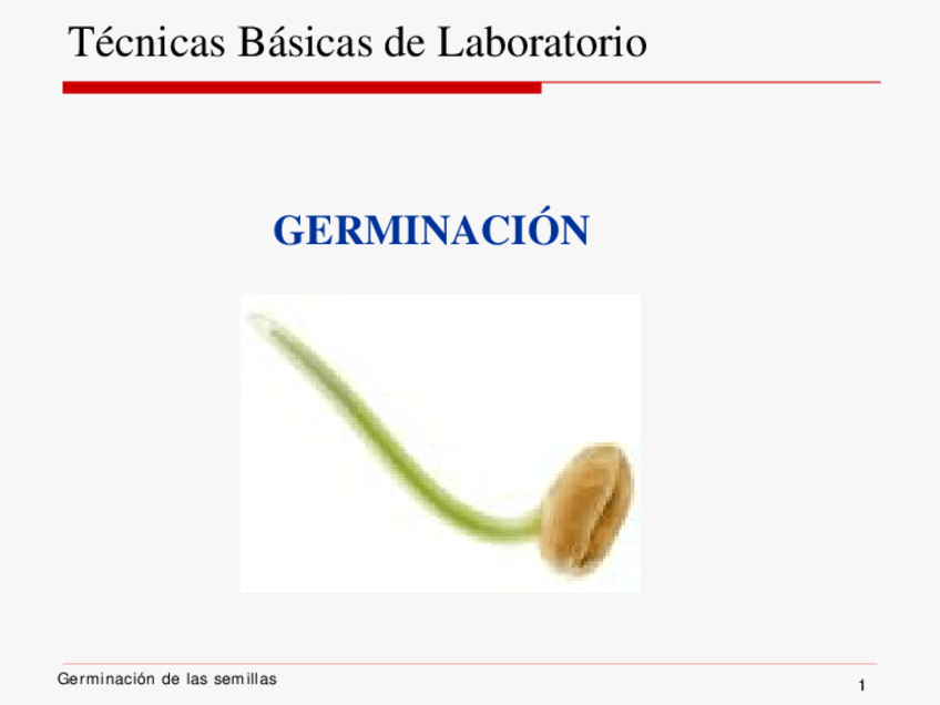 Miniatura del documento S1.-Seminario-Germinacion.pdf