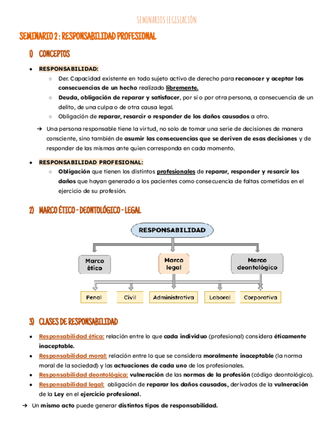 Miniatura del documento Seminario 2: responsabilidad profesional.pdf
