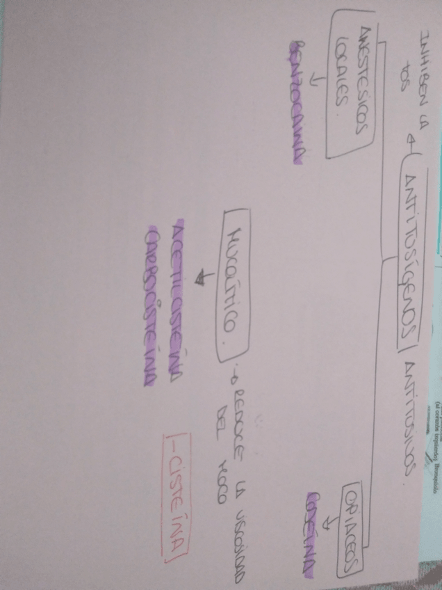 Miniatura del documento IMG_20180905_105656_945.jpg