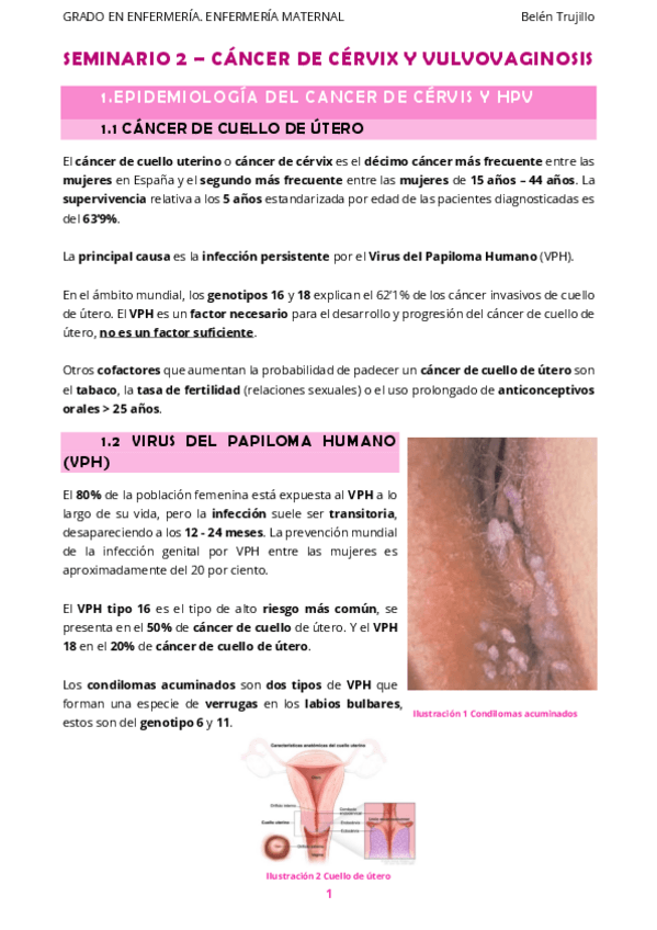 Miniatura del documento MATERNO-Seminario2-CancerCervix.pdf