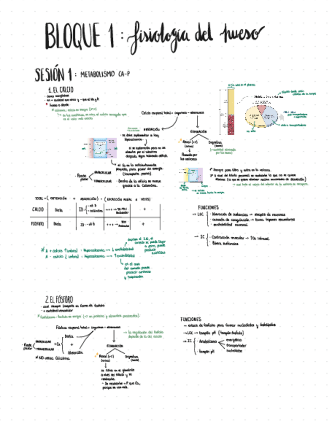 Miniatura del documento Bloque-1-FISIOLOGIA-II.pdf