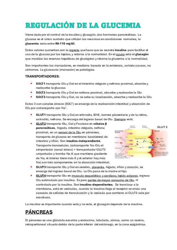 Miniatura del documento DIABETES.pdf