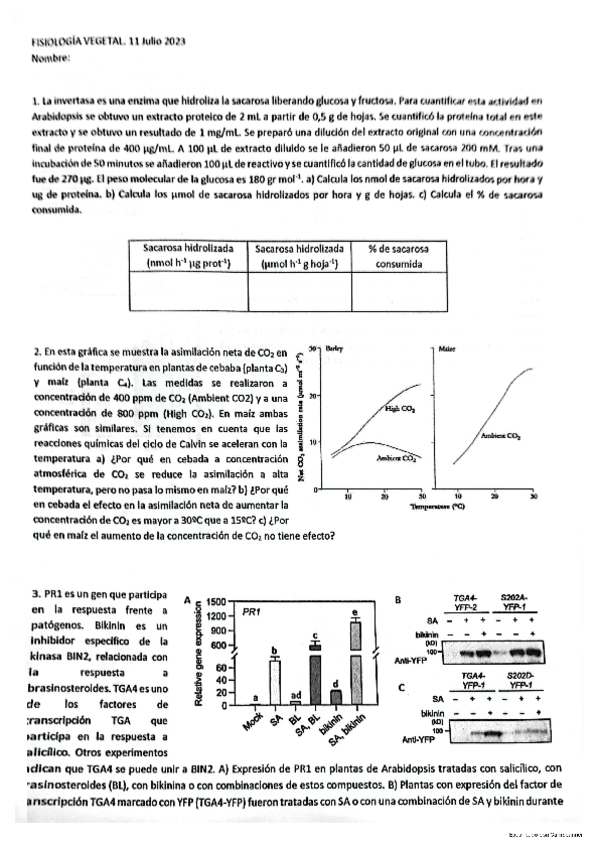 Miniatura del documento Exame-Xullo-23-Fv.pdf