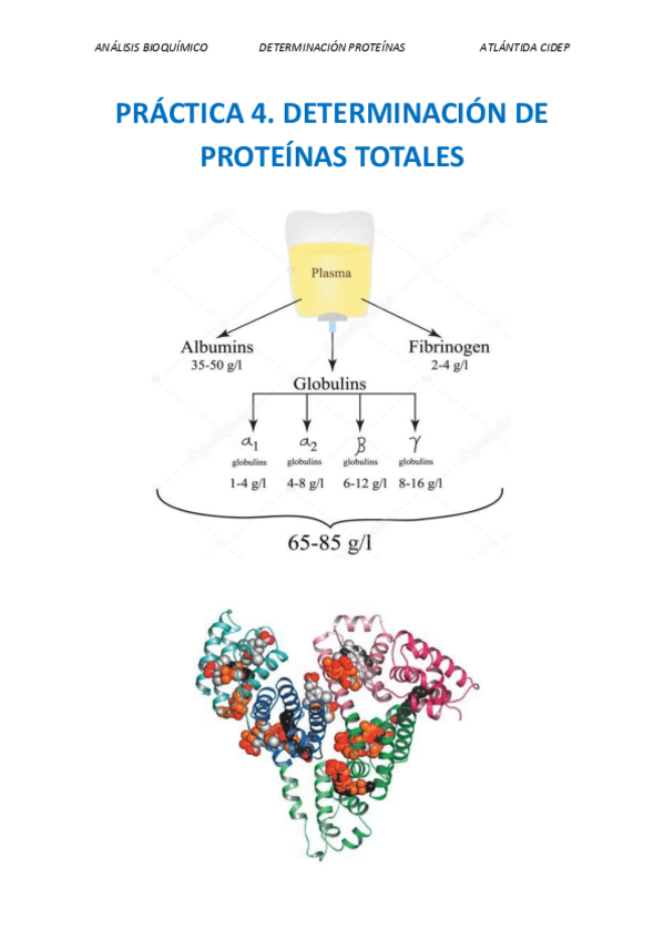 Miniatura del documento DETERMINACION-PROTEINAS-TOTALES.pdf