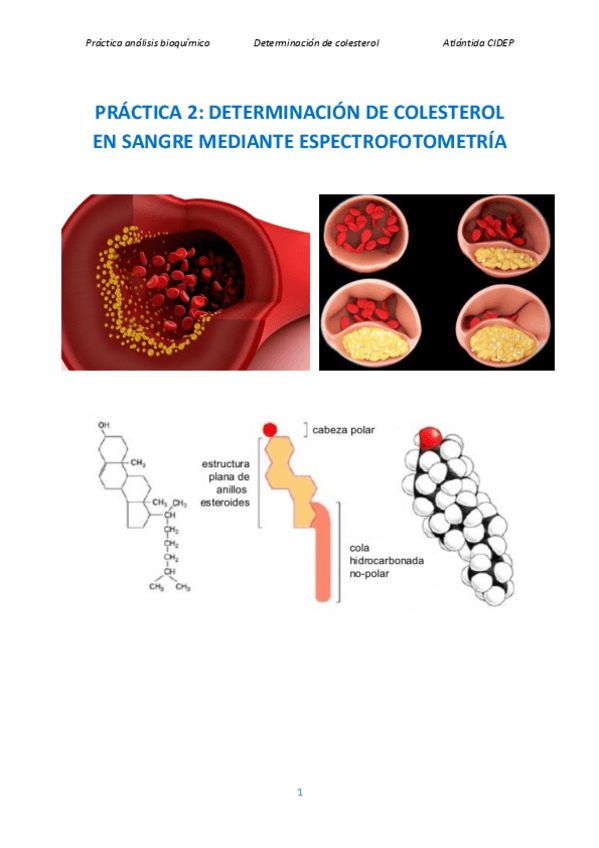 Miniatura del documento Practica-determinacion-colesterol.pdf
