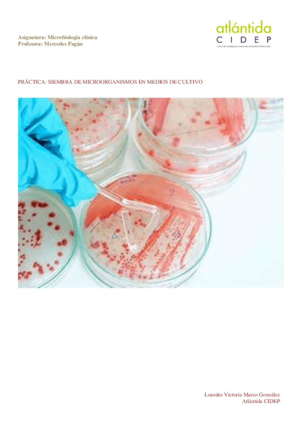 Miniatura del documento SIEMBRA-DE-MICROORGANISMOS.pdf