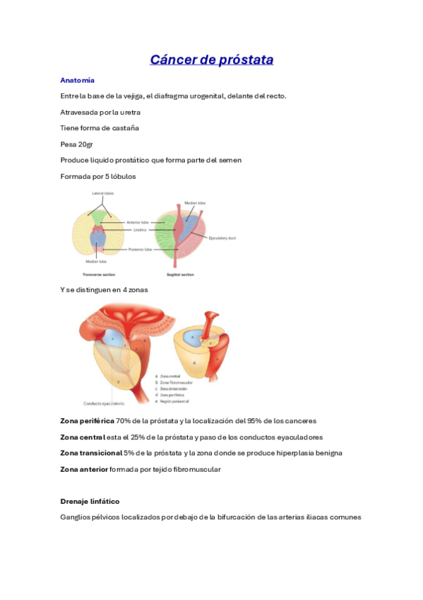 Miniatura del documento resumen-cancer-prostata.pdf