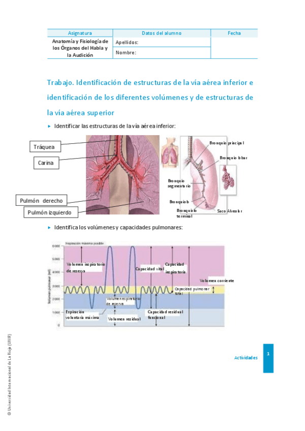 Miniatura del documento Anatomia-actividad-1-hecha.pdf