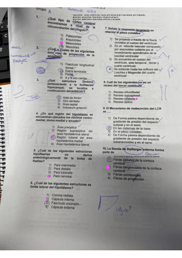 Miniatura del documento EXAMEN-ANATO-III-JUNIO-2021-COMPLETO.pdf