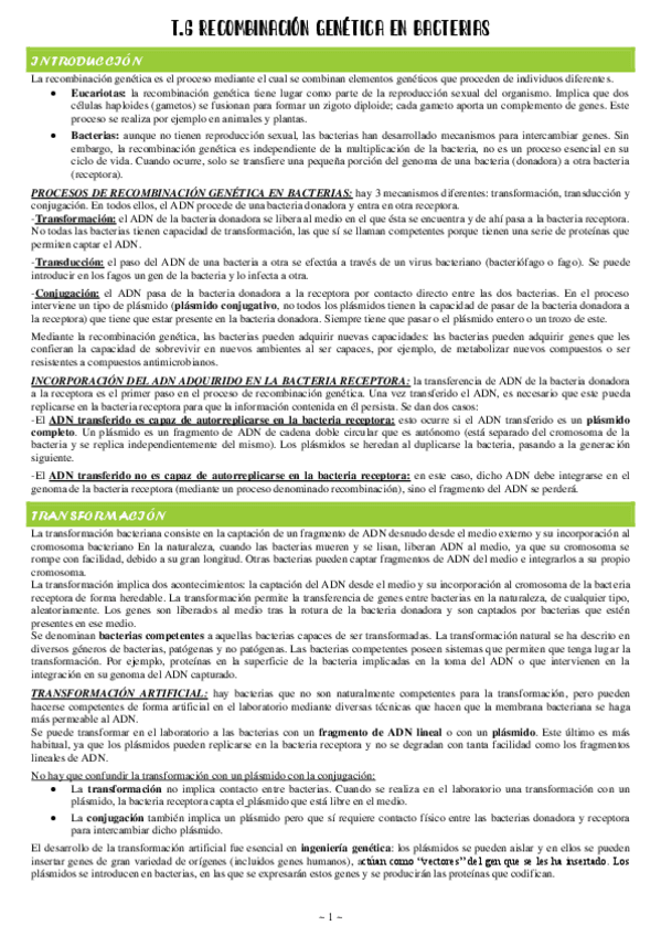 Miniatura del documento 6-Recombinacion-genetica-en-bacterias.pdf
