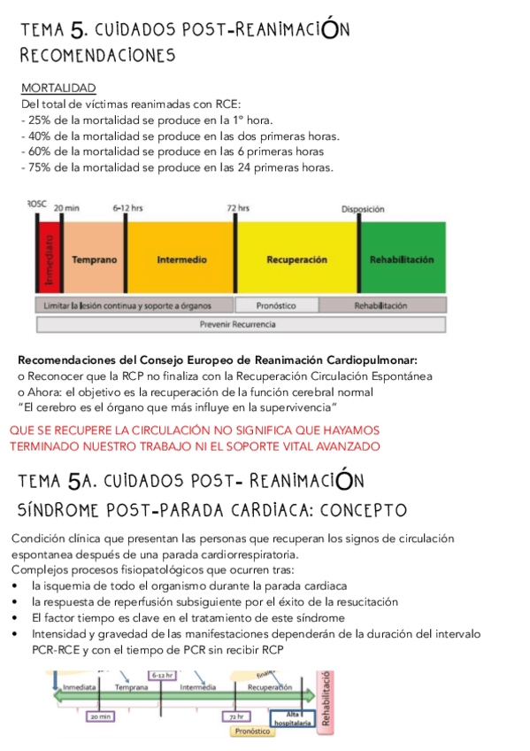 Miniatura del documento Tema-5-Soporte-Vital.pdf