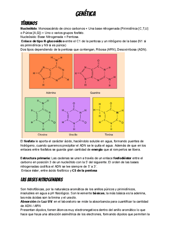 Miniatura del documento GENETICA APUNTES PRIMER PARCIAL.pdf