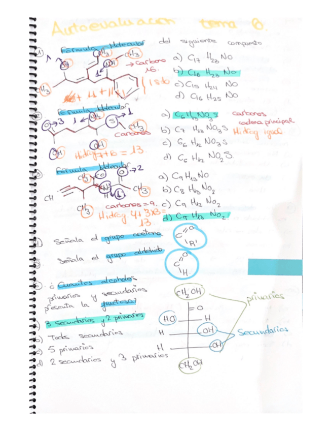 Miniatura del documento autoevaluacion-tema-6.pdf