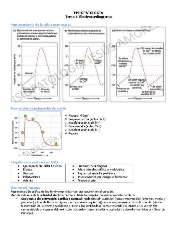 Miniatura del documento fisiopato-t4-ECG-enf-sandra.pdf