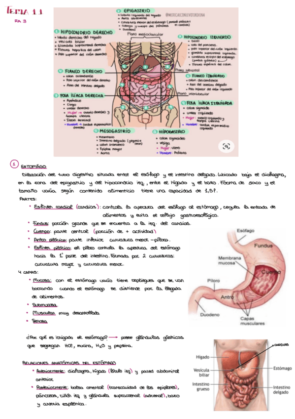 Miniatura del documento Tema-11.pdf