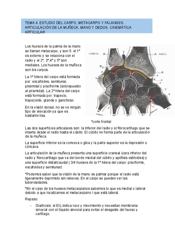 Miniatura del documento Tema-4.pdf