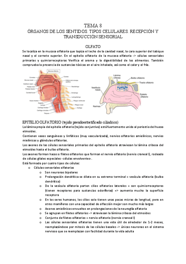 Miniatura del documento psicobiologia-tema-8.pdf