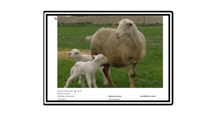 Miniatura del documento race-de-moutons-1.pdf