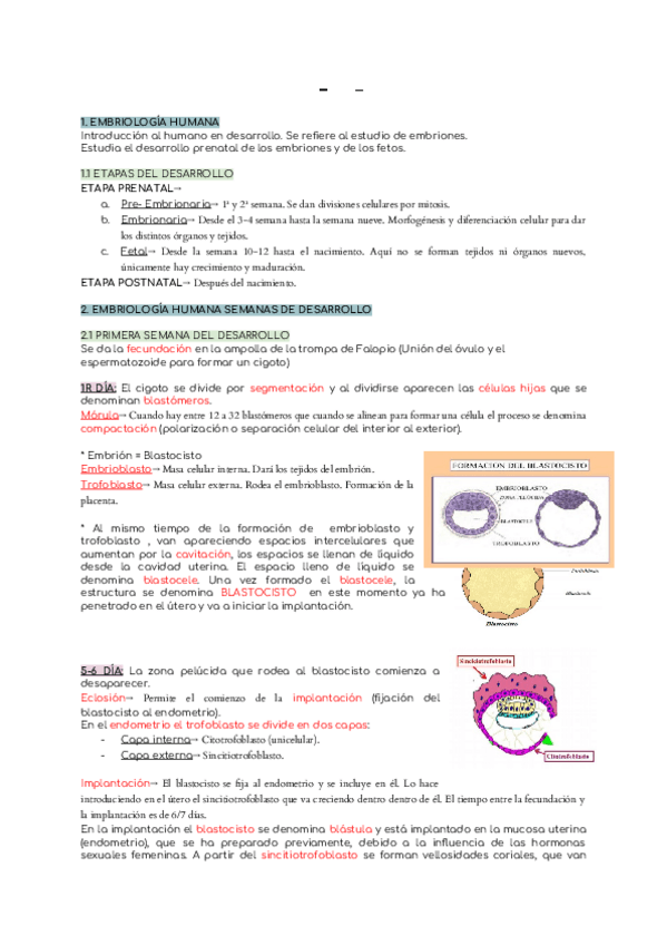Miniatura del documento 1R-EXAMEN.docx