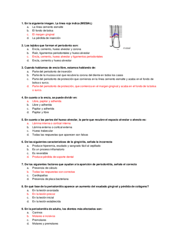Miniatura del documento 2o-EXAMEN-TEST-ECO.docx