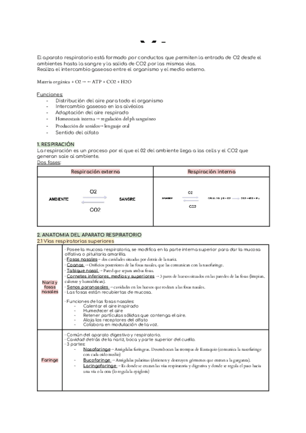 Miniatura del documento 2n-EXAMEN-FISIO.docx