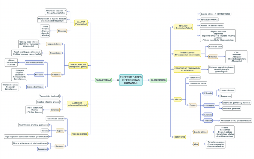 Miniatura del documento ENFERMEDADES-INFECCIOSAS-1-ESQUEMA-1.png