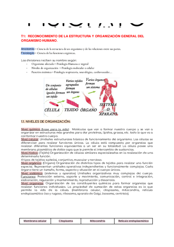 Miniatura del documento TEMARIO-1R-EXAMEN.docx
