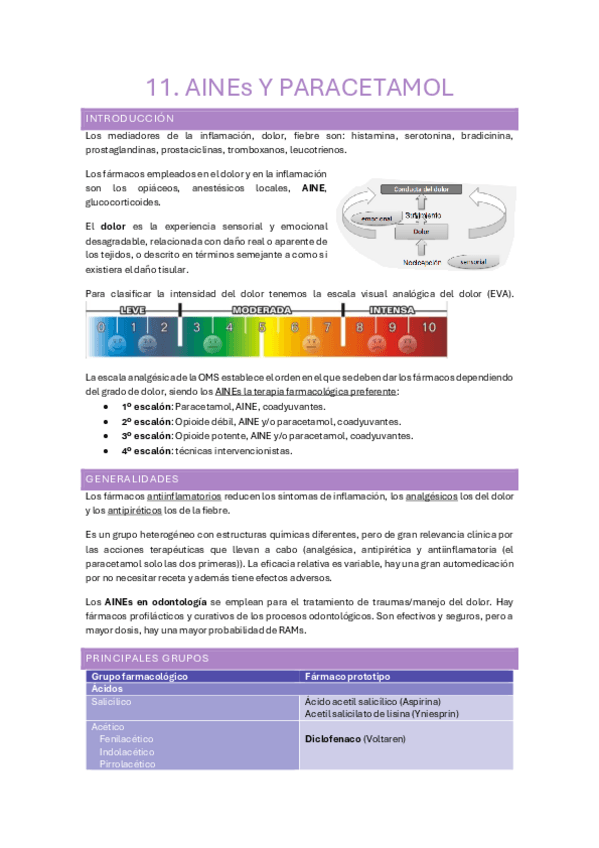 Miniatura del documento 11-12.-AINEs-y-opioides.pdf