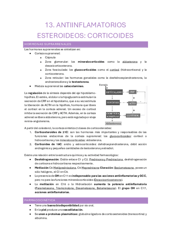 Miniatura del documento 13.-Corticoides.pdf