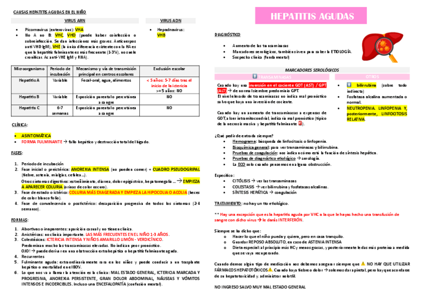 Miniatura del documento HEPATITIS.pdf