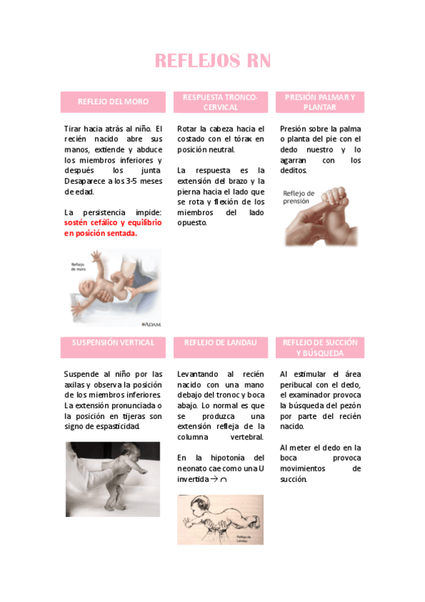 Miniatura del documento REFLEJOS-RN.pdf