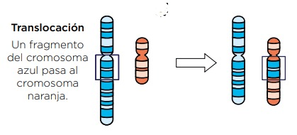 Miniatura del documento foto.jpeg