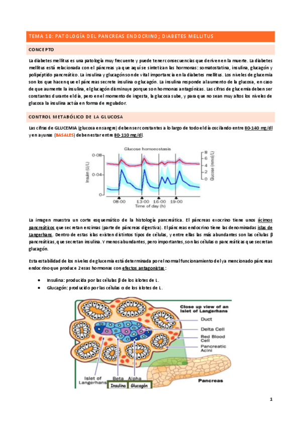 Miniatura del documento Tema-10.pdf