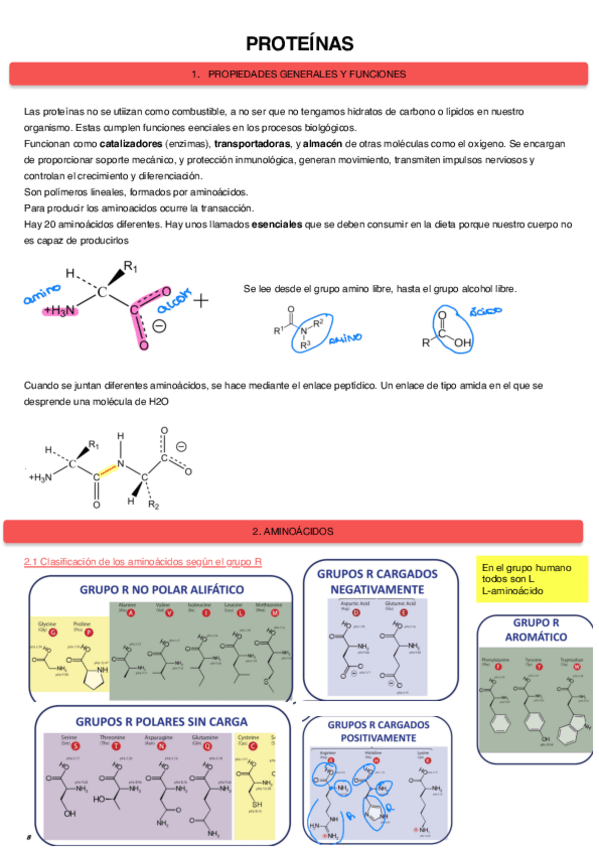 Miniatura del documento Proteinas-5.pdf